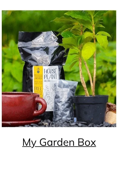 My Garden Box