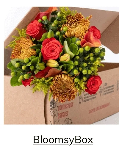 BloomsyBox