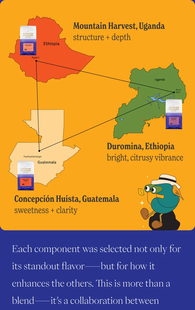 Equilibrium Breakdown: (map?) Mountain Harvest, Uganda – structure + depth   Duromina, Ethiopia – bright, citrusy vibrance   Concepción Huista, Guatemala – sweetness + clarityEach component was selected not only for its standout flavor—but for how it enhances the others. This is more than a blend—it’s a collaboration between nature, producers, and our sourcing team.