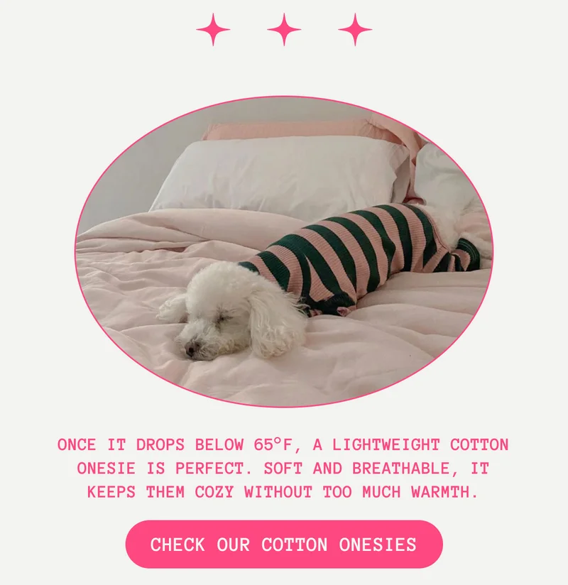 Once it drops below 65°F, a lightweight cotton onesie is perfect.