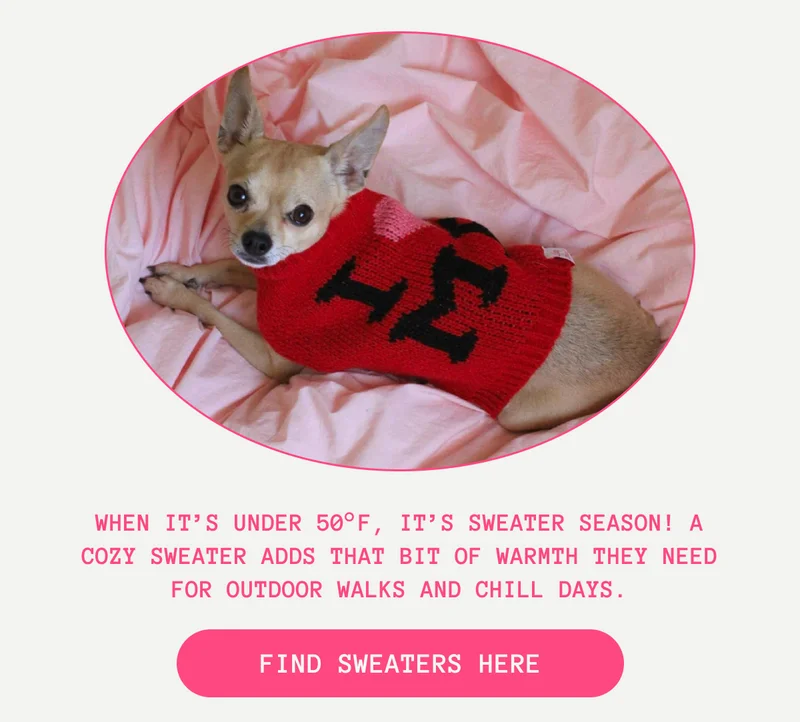 When it’s under 50°F, it’s sweater season!