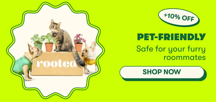 Shop Pet Friendly