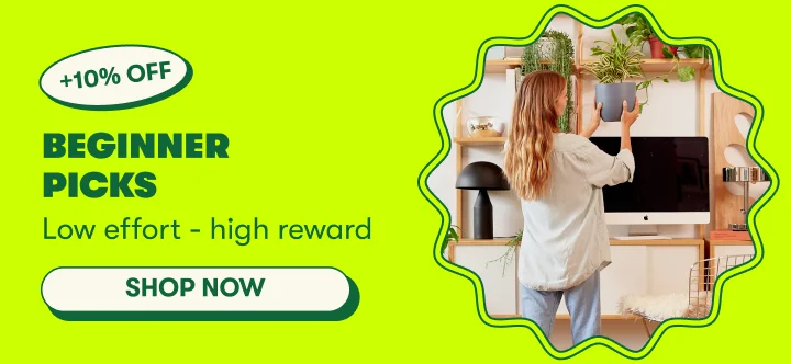 Shop Beginner Friendly