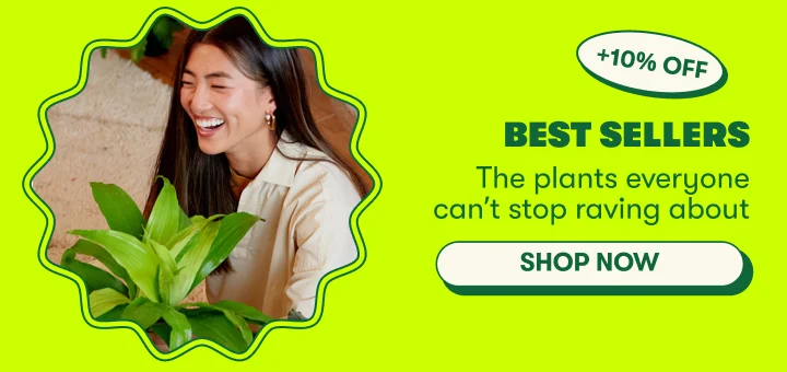 Shop Best Sellers