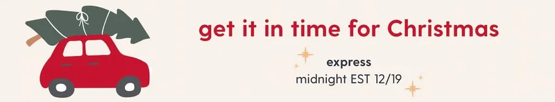 get it in time for Christmas