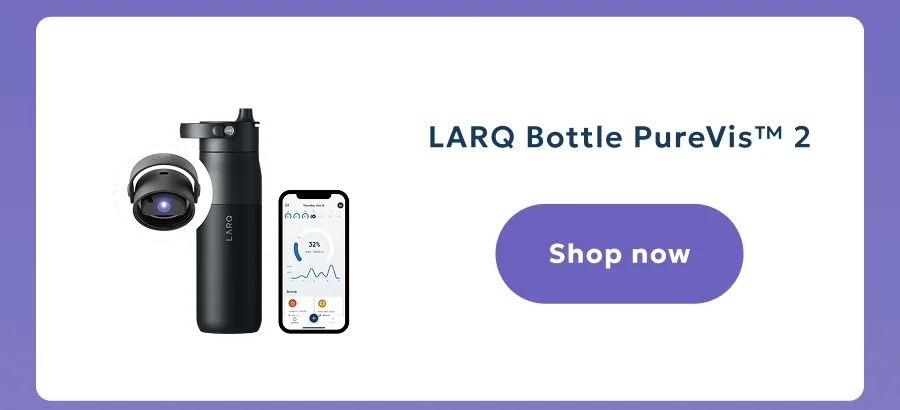 LARQ Bottle PureVis™ 2
