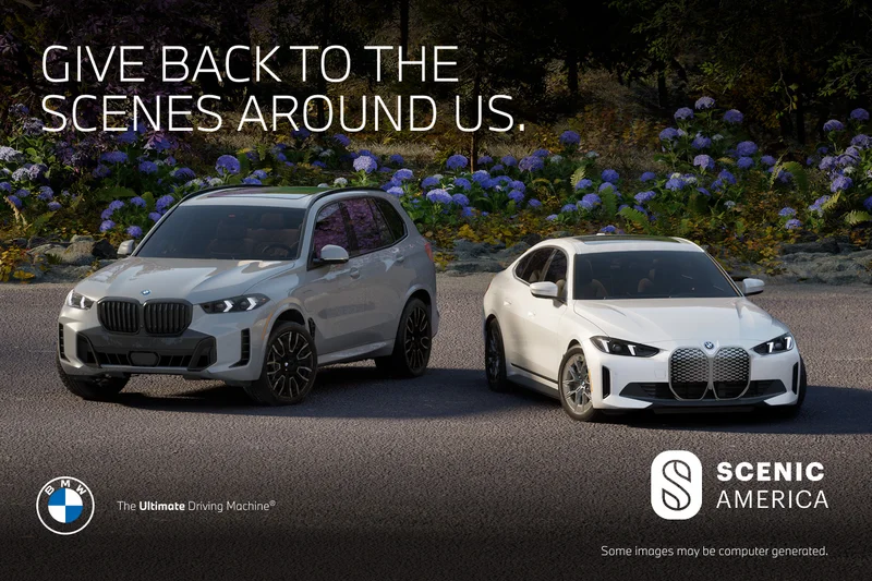 Two BMW vehicles parked, in front of floral field
