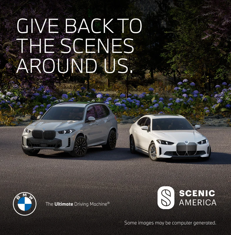 Two BMW vehicles parked, in front of floral field