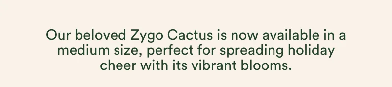The Zygo Cactus:now available in a medium.