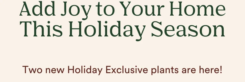 two new holiday plants are here