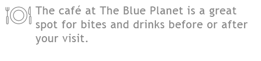 DEN BLA PLANET