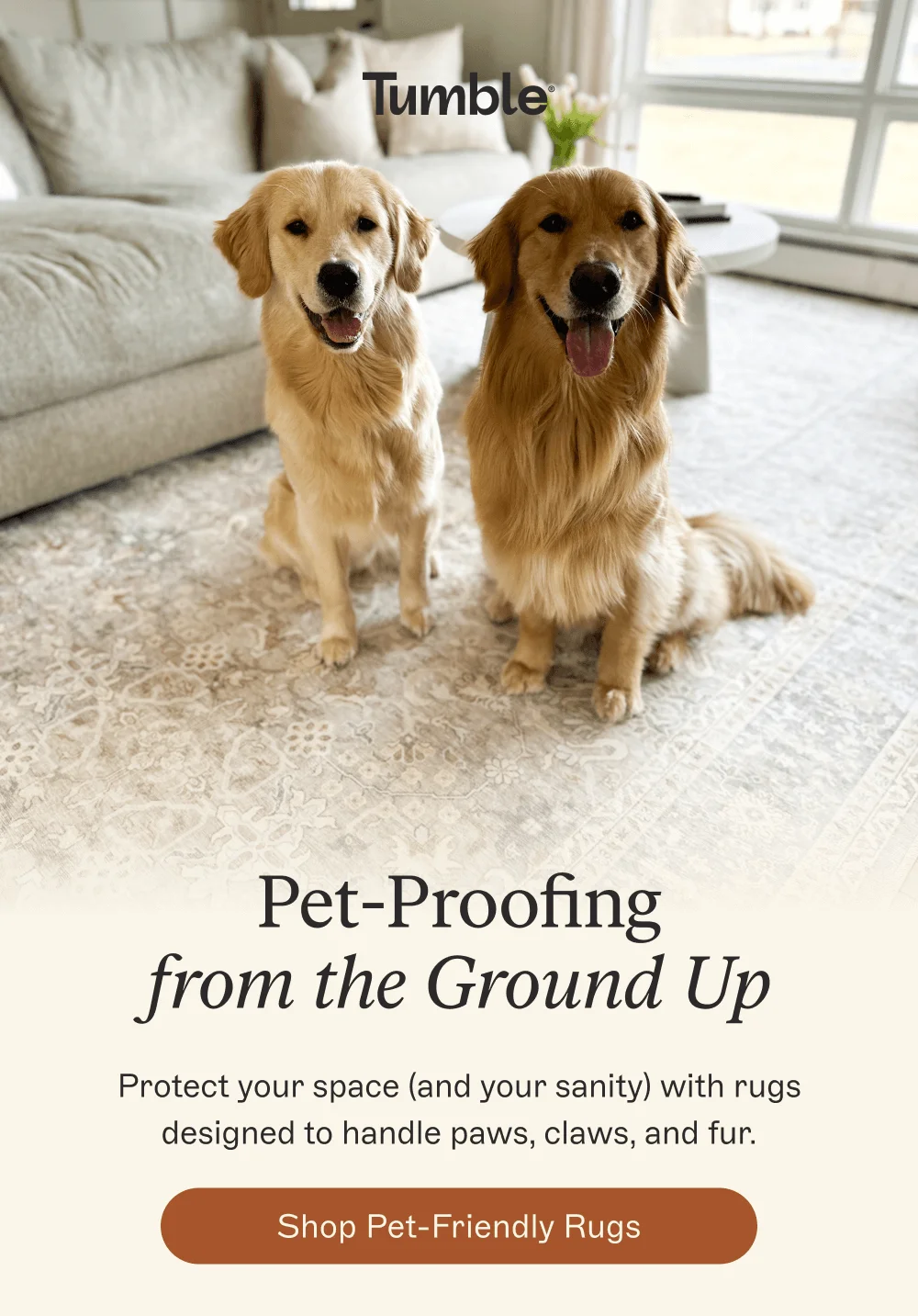 [Shop Pet-Friendly Rugs]