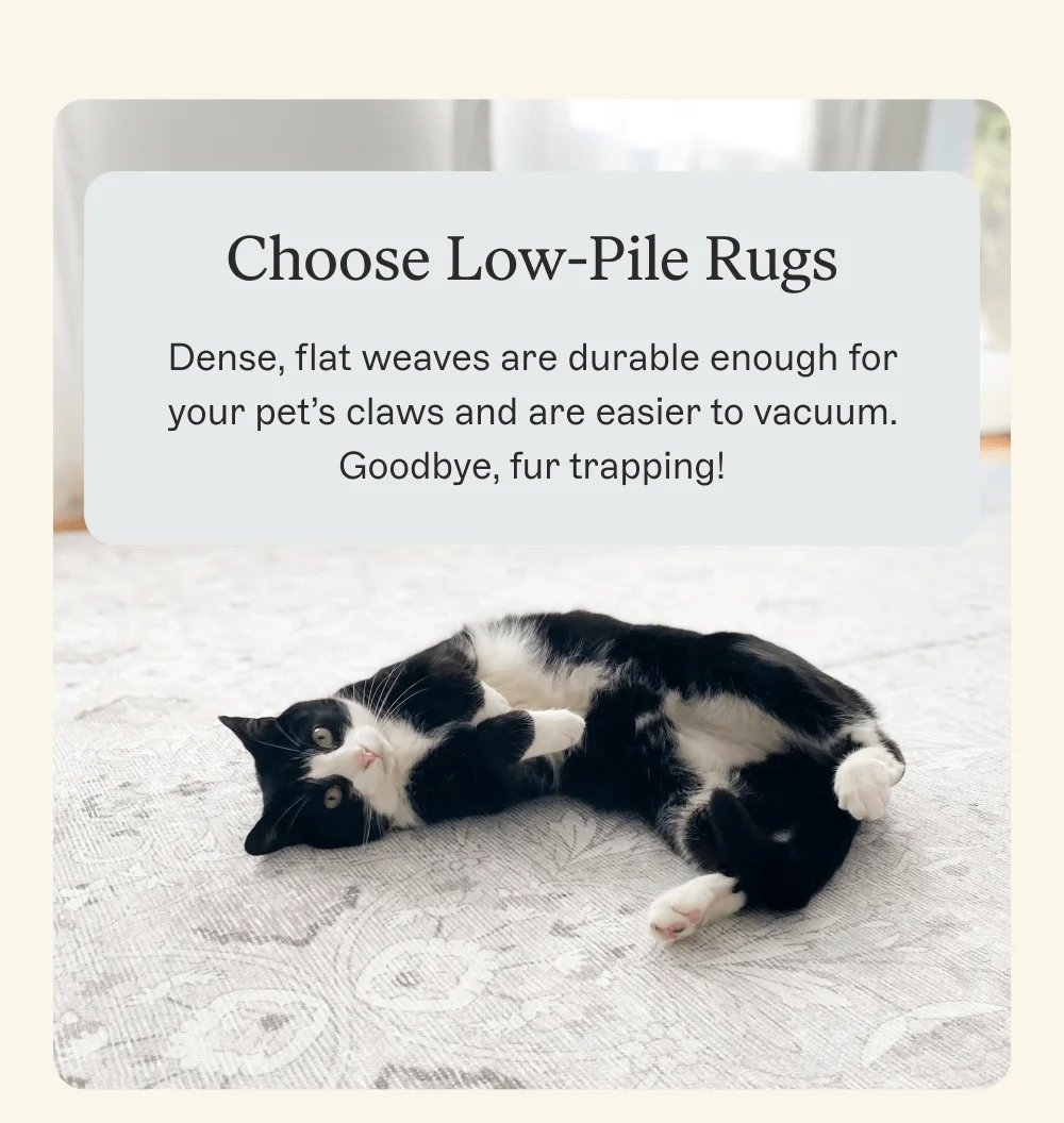 1. Choose Low-Pile Rugs