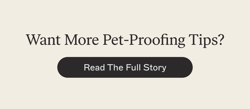 [Read the Full Story]