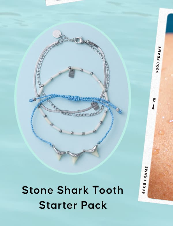 Stone Shark Tooth Starter Pack