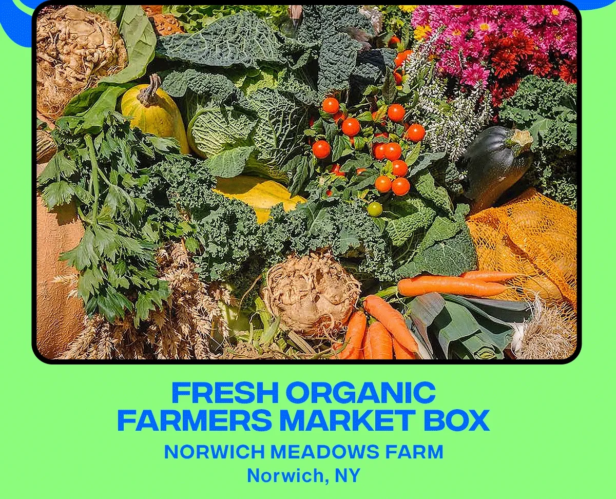 Norwich Meadows Farm