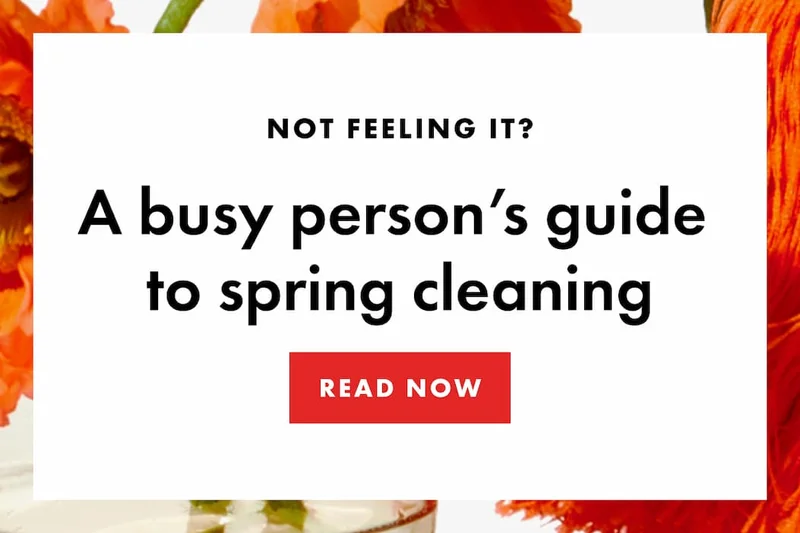 NOT FEELING IT? A busy person’s guide  to spring cleaning. | READ NOW