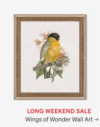 Shop Wings of Wonder Wall Art