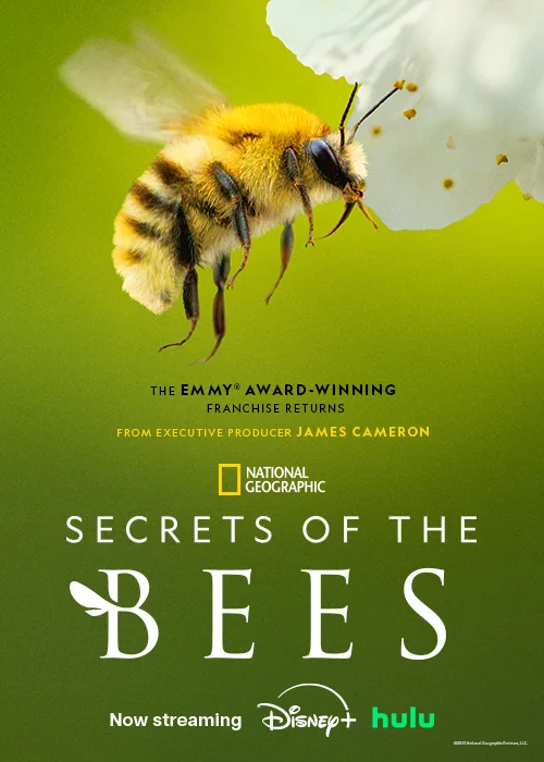 A close-up of a bee on a flower with a green background and text overlay.