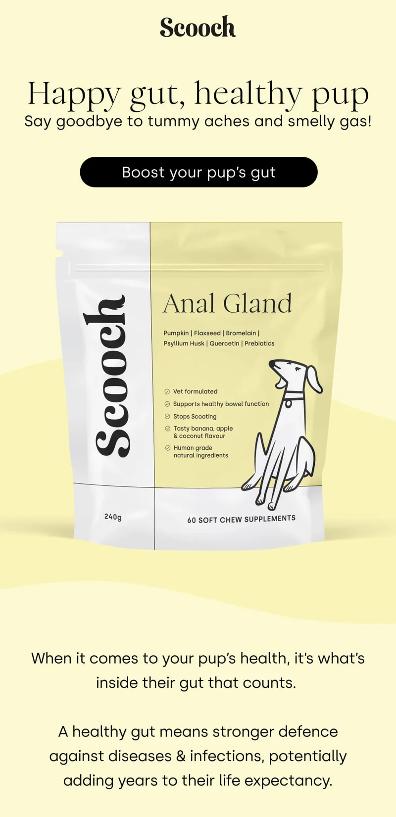 Happy gut, healthy pup - Boost your pup's gut
