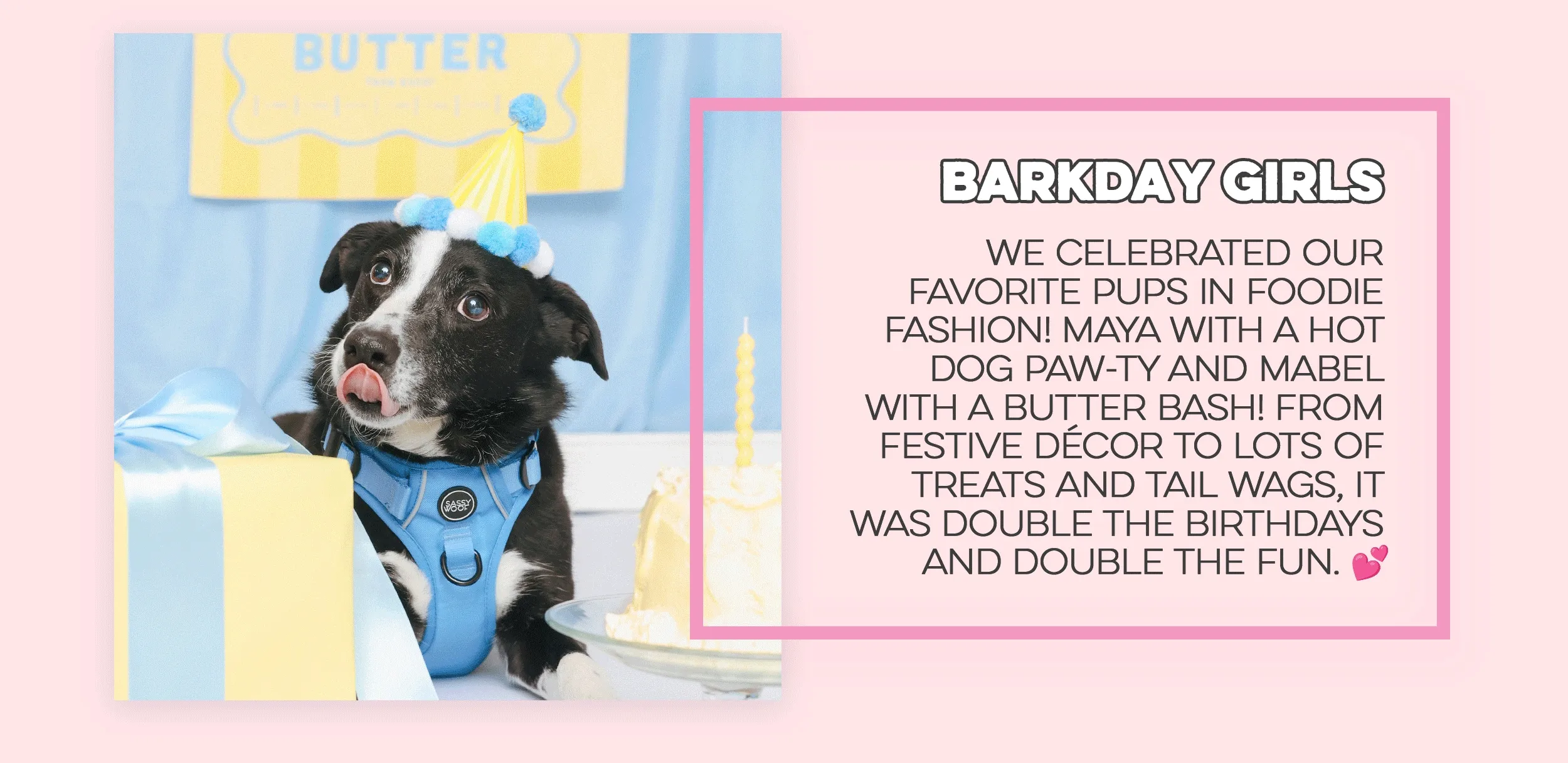 an image of a dog with a birthday hat and a birthday card