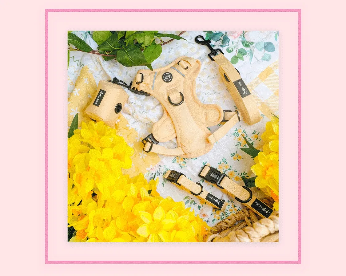 an image of a group of stuffed animals sitting on top of a bed of flowers