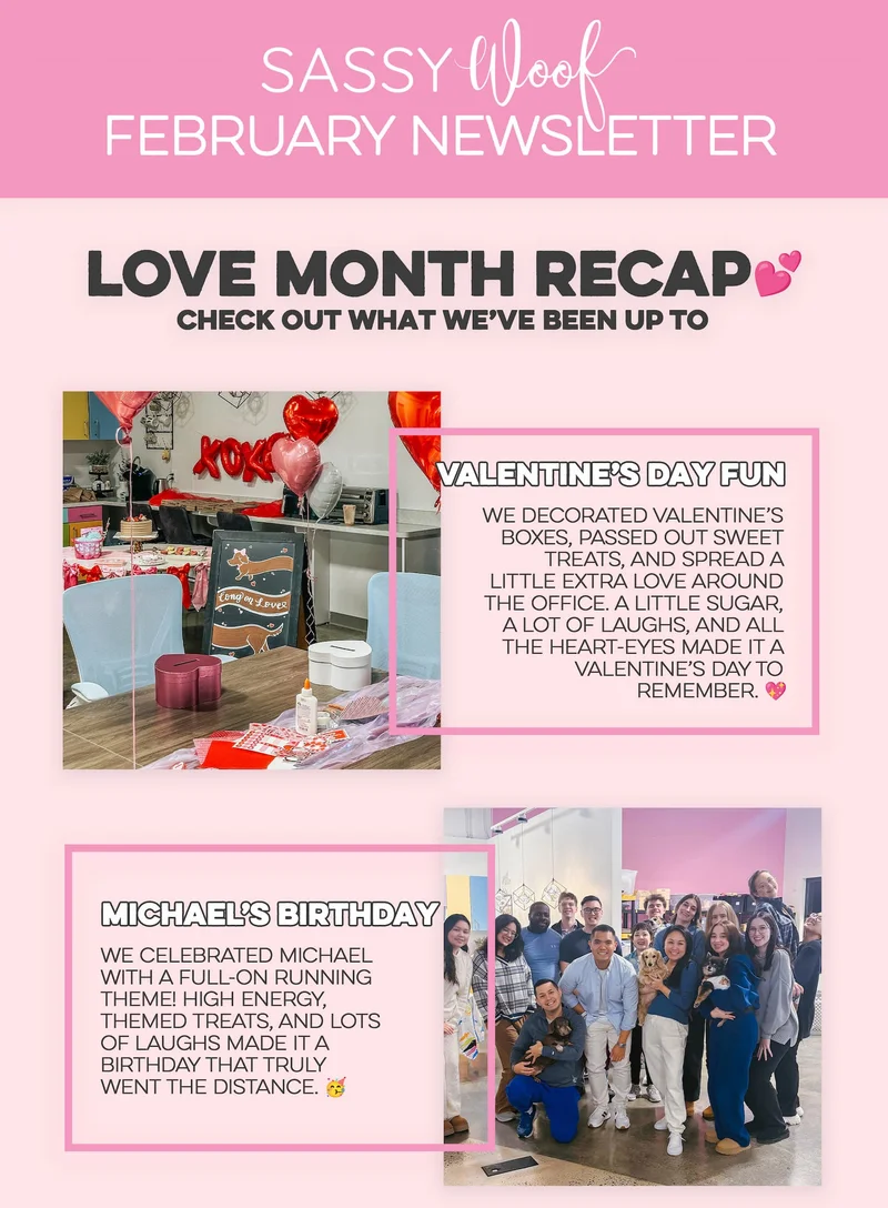 an image of a flyer for a valentine's day party