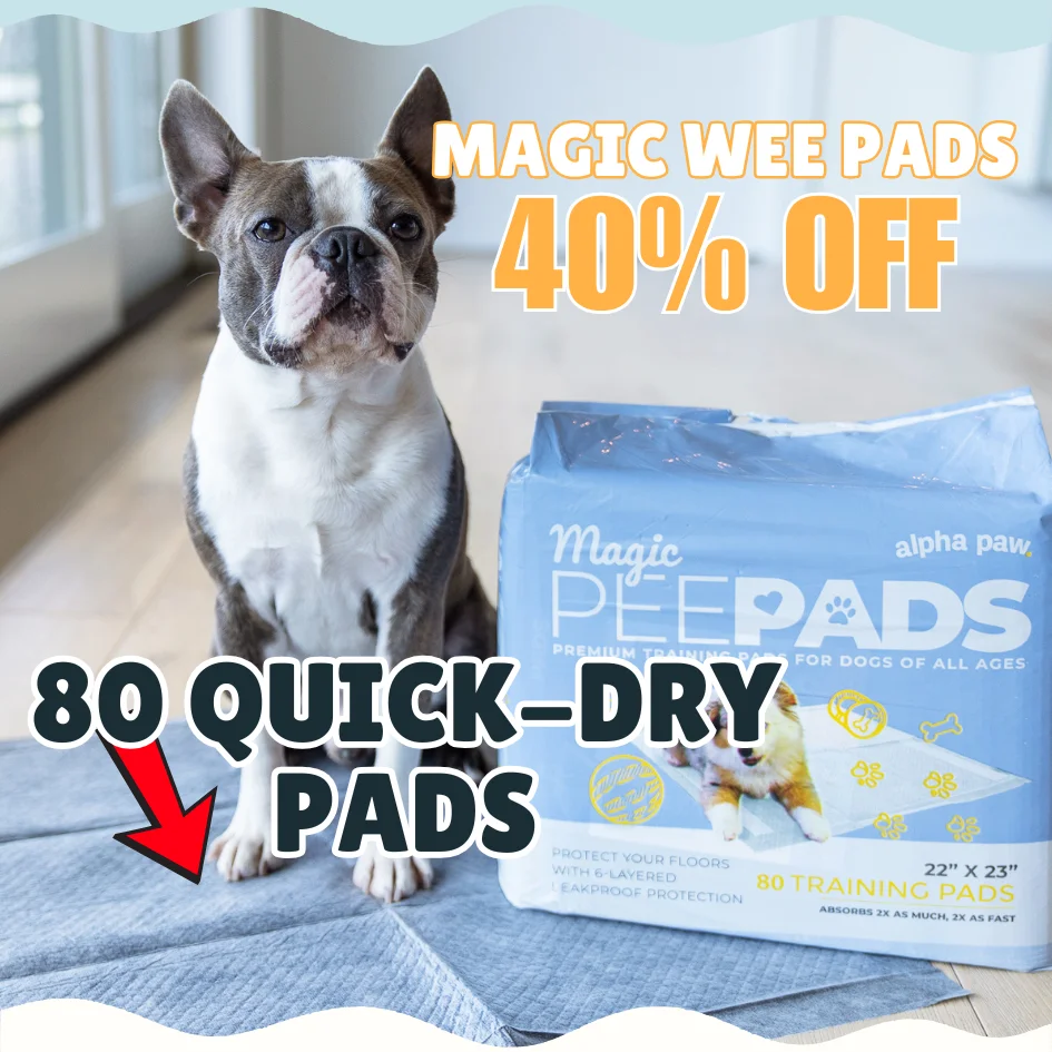 Magic Pad Magic Pad