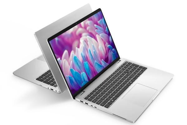 Two Dell 2-in-1 laptop computers arranged back-to-back.