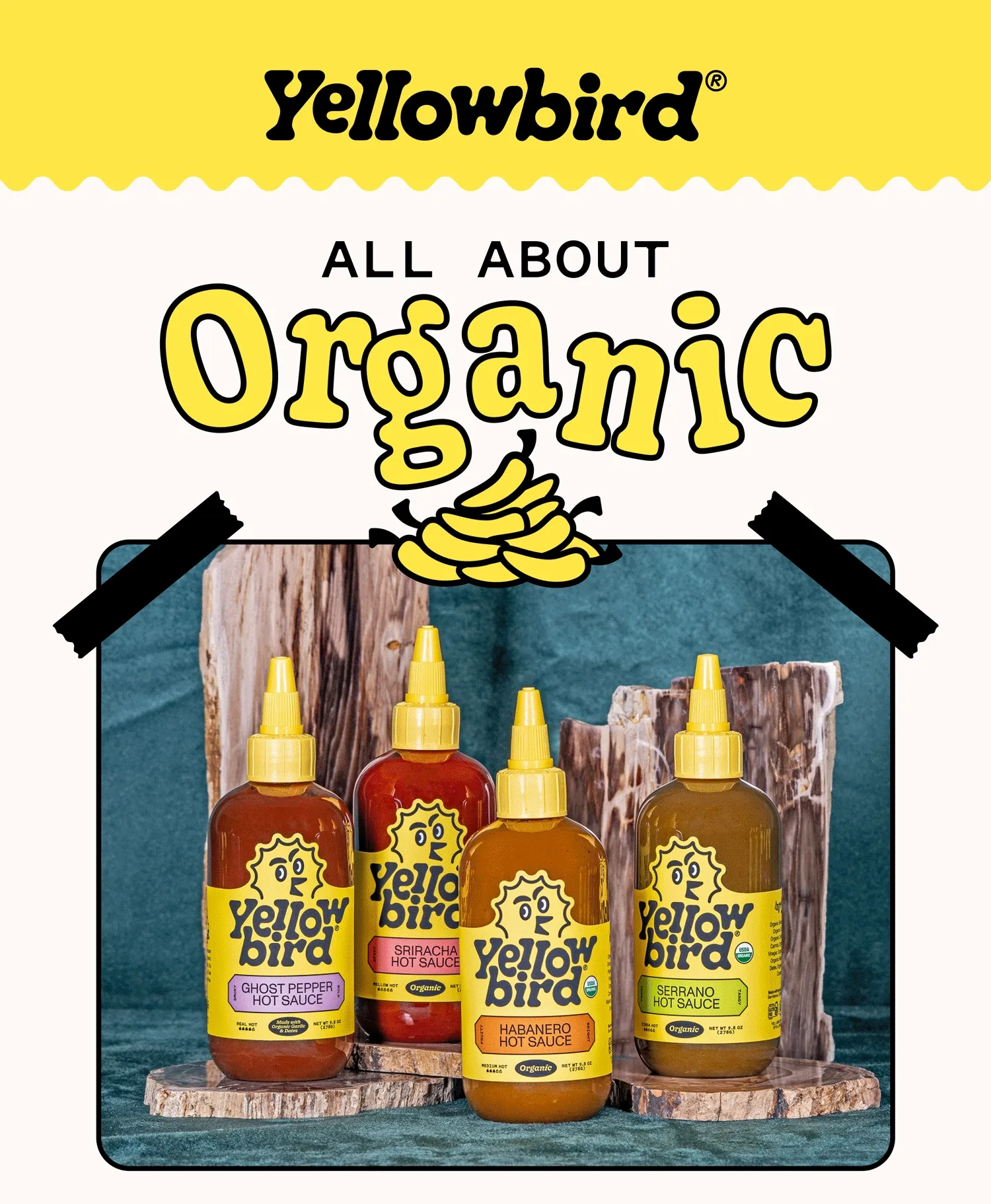 All About Organic