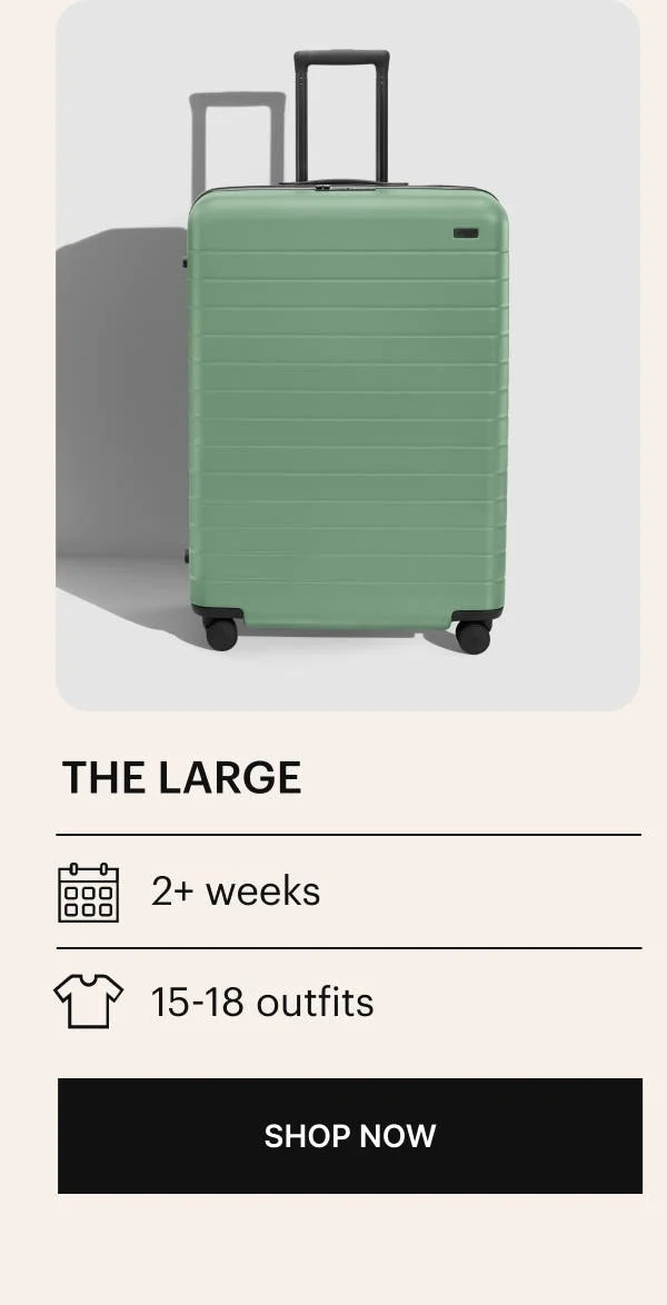THE LARGE