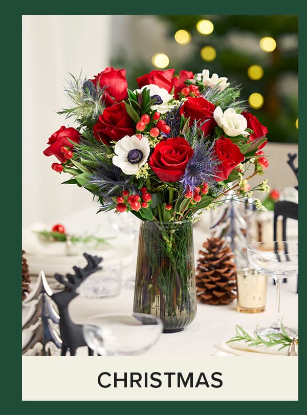 Shop Christmas