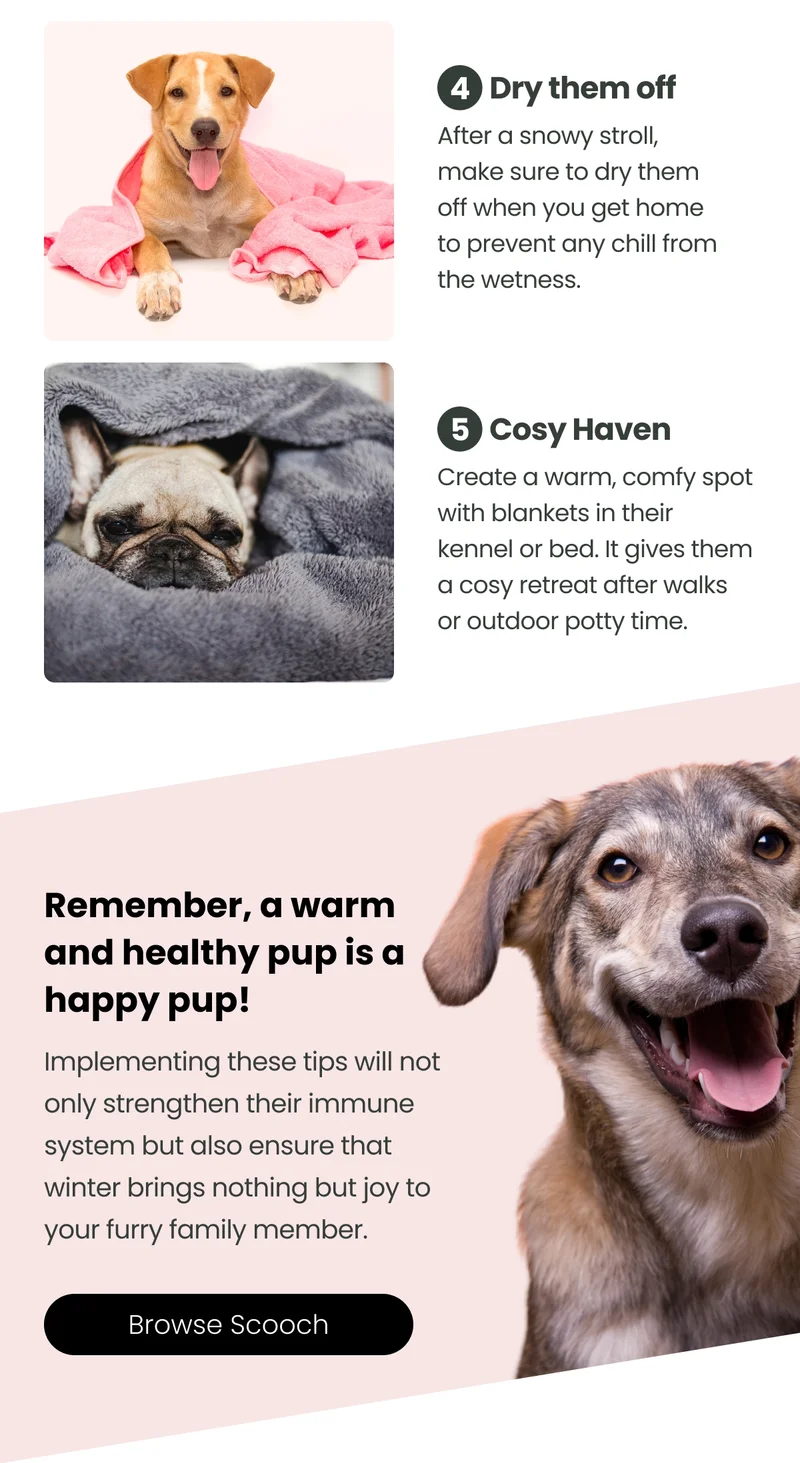 Scooch Tips for Winter