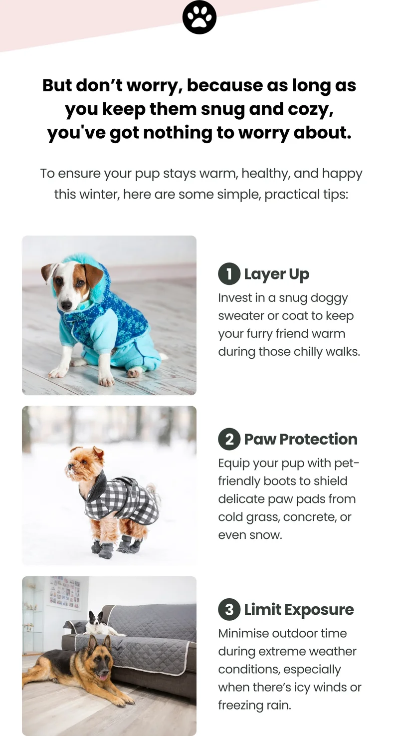 Scooch Tips for Winter