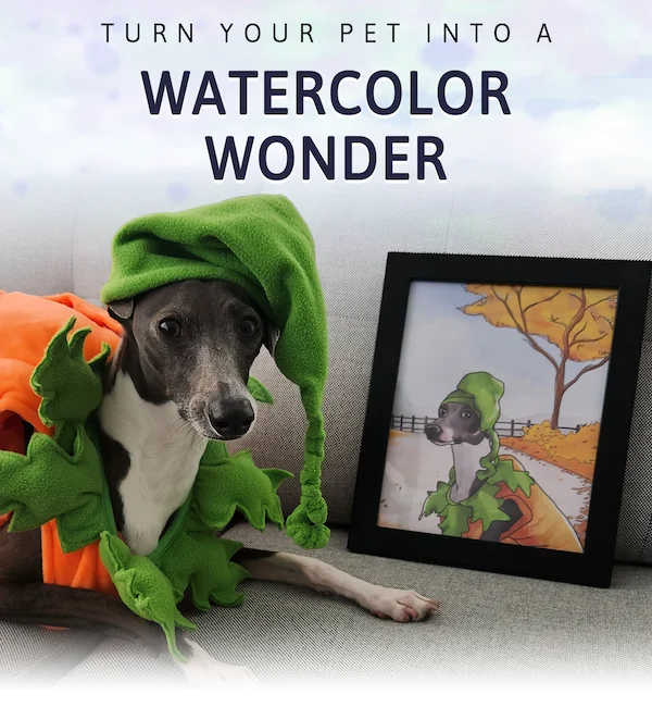 Turn your pet into a watercolor wonder