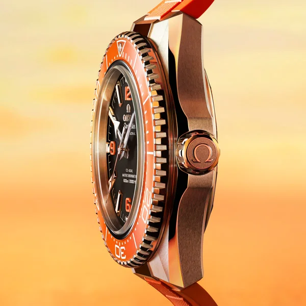 Seamaster Planet Ocean - 217.30.42.21.01.003- Profile