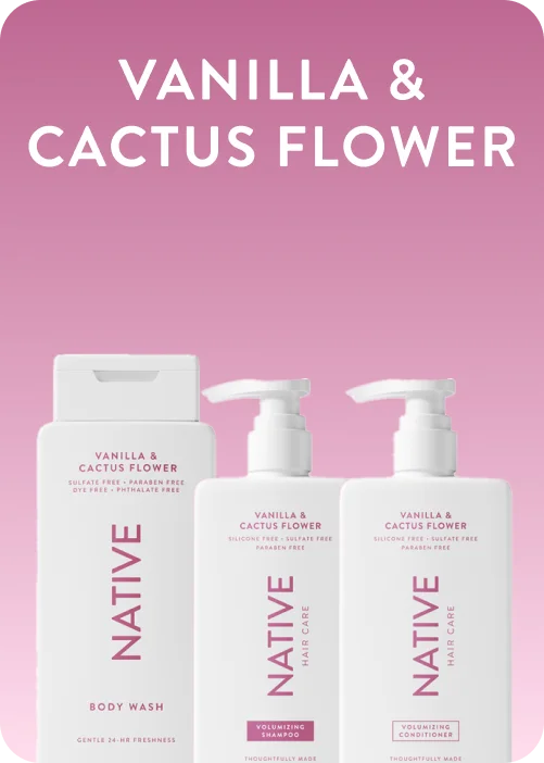 vanilla and cactus flower vanilla and cactus flower