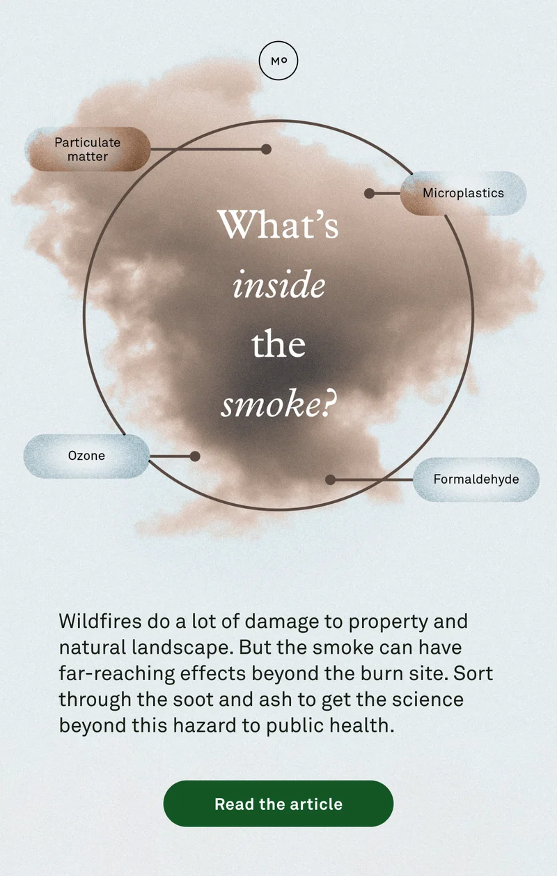 What's inside the smoke?
