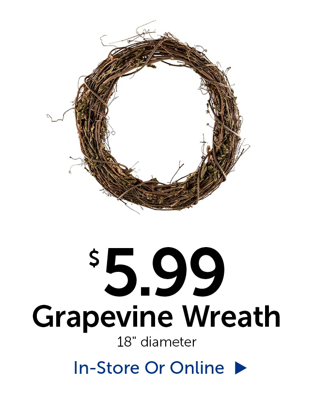 $5.99 Grapevine Wreath - 18" in diameter