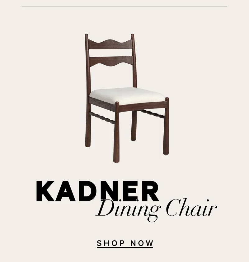 Shop Kadner Dining Chair