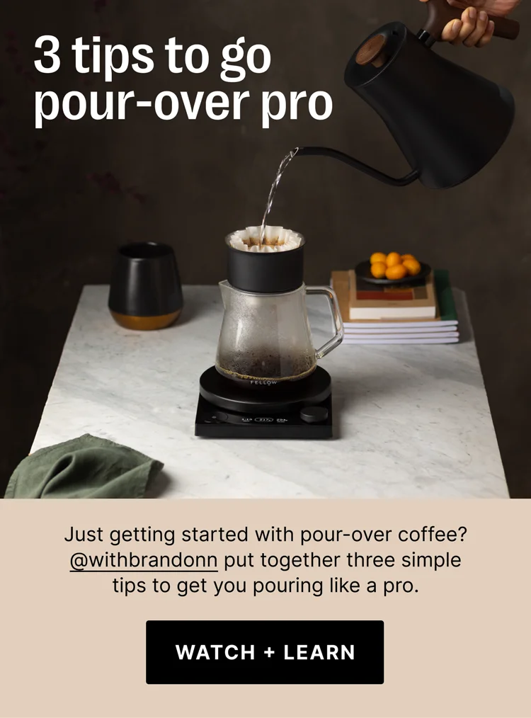 3 tips to go pour-over pro - Watch + Learn
