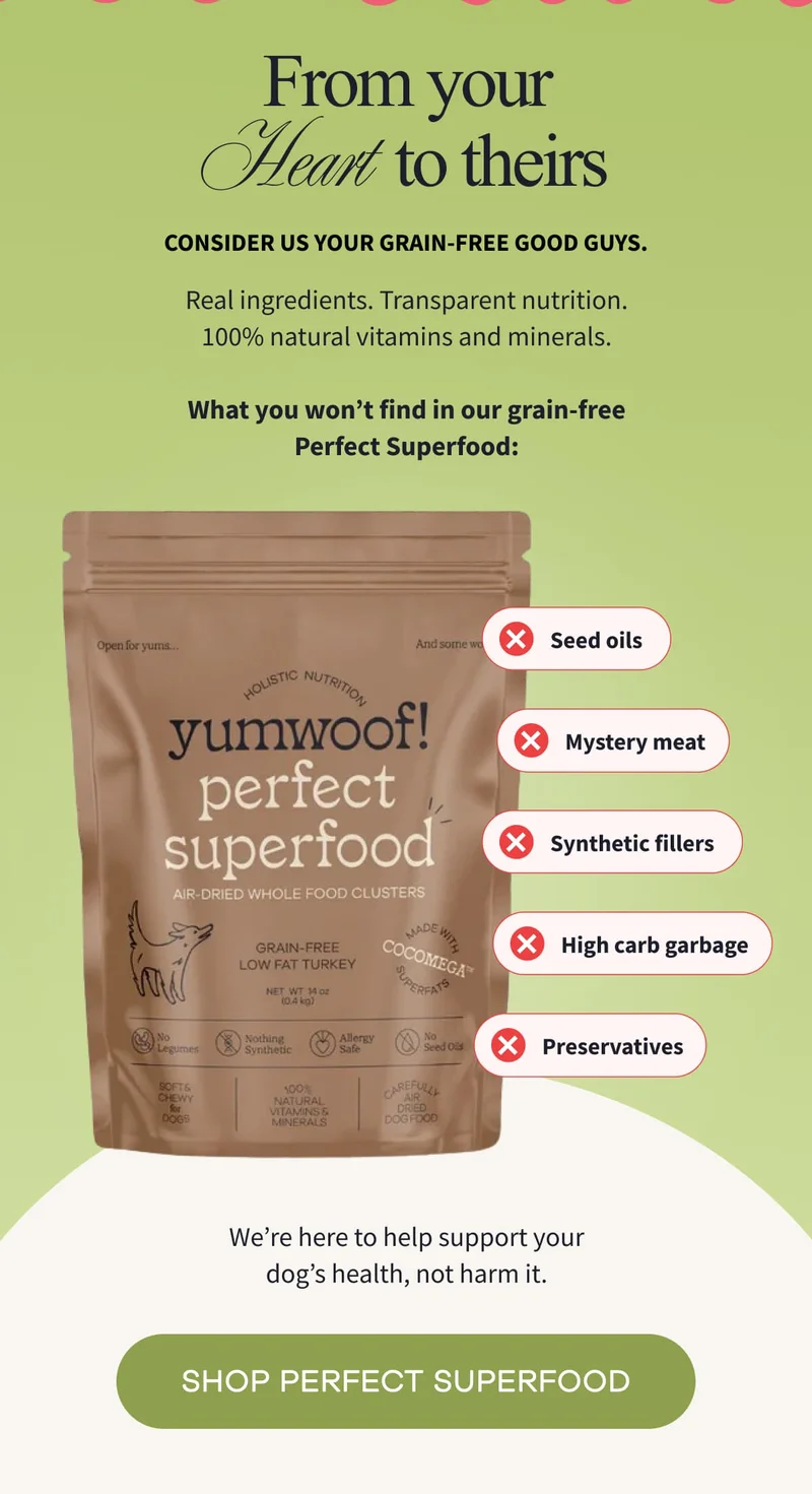 From Your Heart to Theirs | Consider us your grain-free good guys. | We’re here to help support your dog’s health, not harm it. | SHOP PERFECT SUPERFOOD