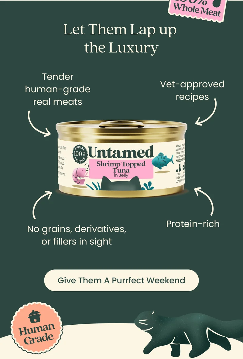 Give Them A Purrfect Weekend