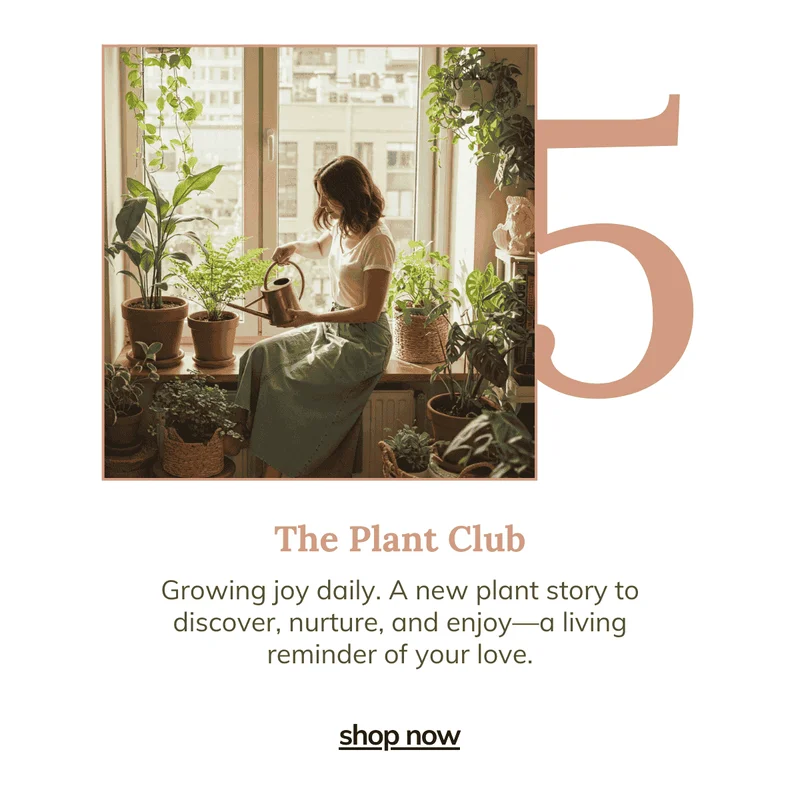 The Plant Club Box