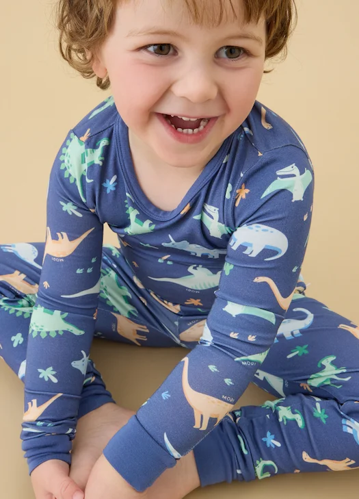 Dinosaur Nights Pajama Set - Blue