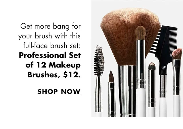Professional Set of 12 Makeup Brushes Professional Set of 12 Makeup Brushes