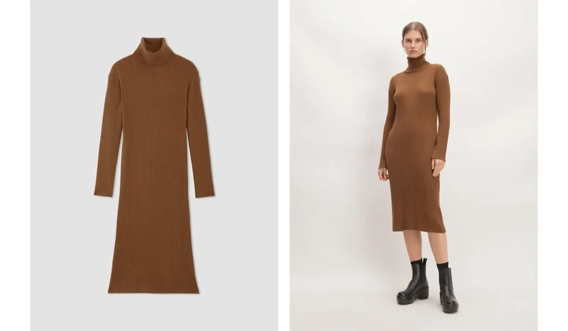 [image]The Cotton-Merino Turtleneck Dress