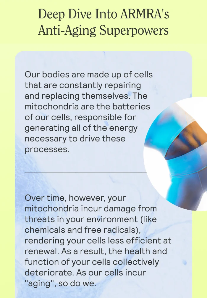 Deep Dive Into ARMRA's Anti-Aging Superpowers. Our bodies are made up of cells that are constantly repairing and replacing themselves. The mitochondria are the batteries of our cells, responsible for generating all of the energy necessary to drive these processes.  Over time, however, your mitochondria incur damage from threats in your environment (like chemicals and free radicals), rendering your cells less efficient at renewal. As a result, the health and function of your cells collectively deteriorate. As our cells incur "aging", so do we.