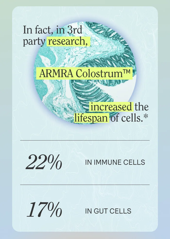 In fact, in 3rd party research, ARMRA Colostrum™ increased the lifespan of cells.*  22% in immune cells 17% in gut cells