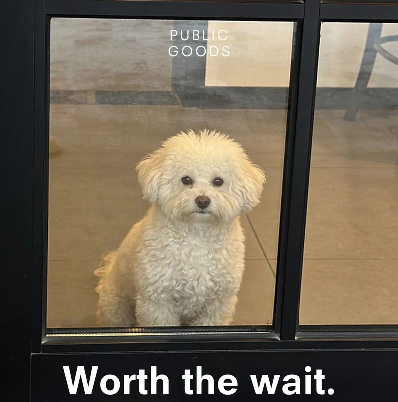 PUBLIC GOODS Worth the wait.